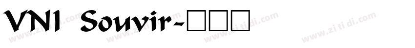 VNI Souvir字体转换